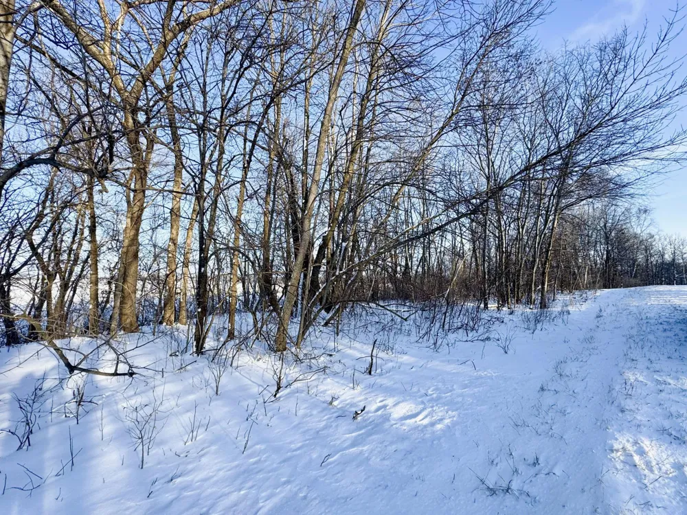 XXXXX German Lake Road Underwood, MN 56586
