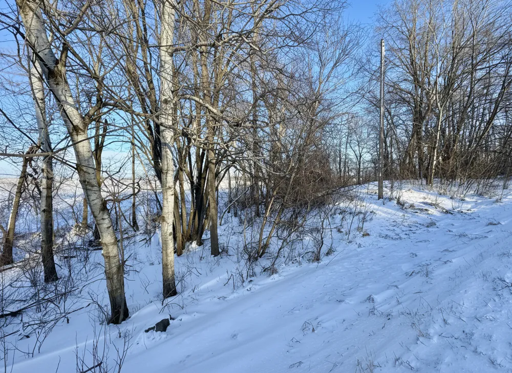 XXXXX German Lake Road Underwood, MN 56586