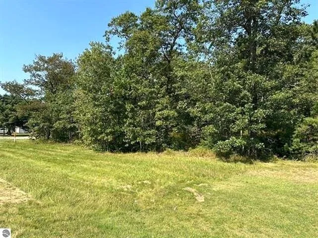 Wintergreen Street Baldwin Township, MI 48730
