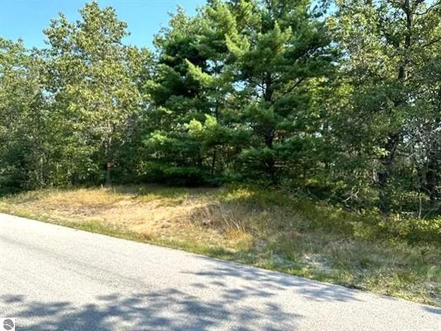 Wintergreen Street Baldwin Township, MI 48730