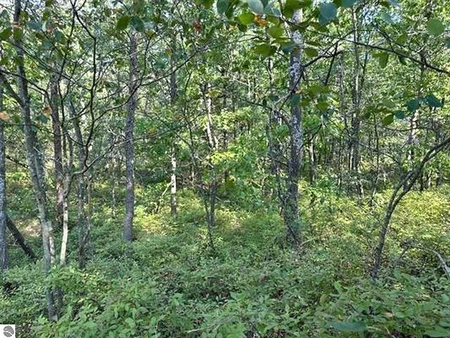 Wintergreen Street Baldwin Township, MI 48730