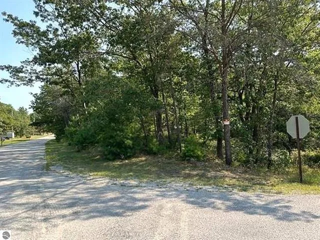 Wintergreen Street Baldwin Township, MI 48730