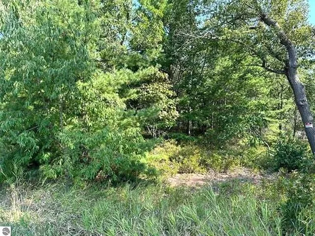 Wintergreen Street Baldwin Township, MI 48730