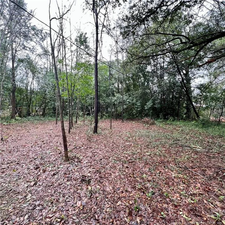 1005 S Pine Street Laurinburg, NC 28352