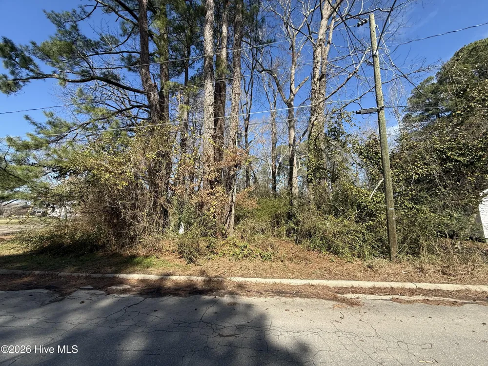 1041 Water Street Jamesville, NC 27846