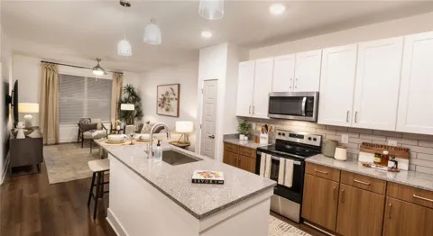5141 Stone Mountain Highway #1101