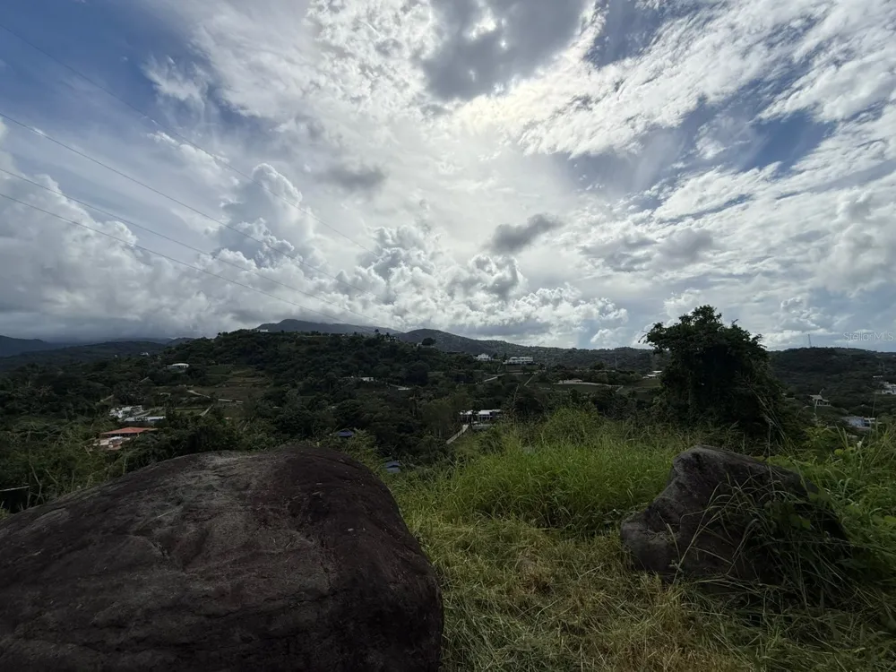 10 RAINFOREST AND SEA VIEW RESORT, Luquillo, PR 00773