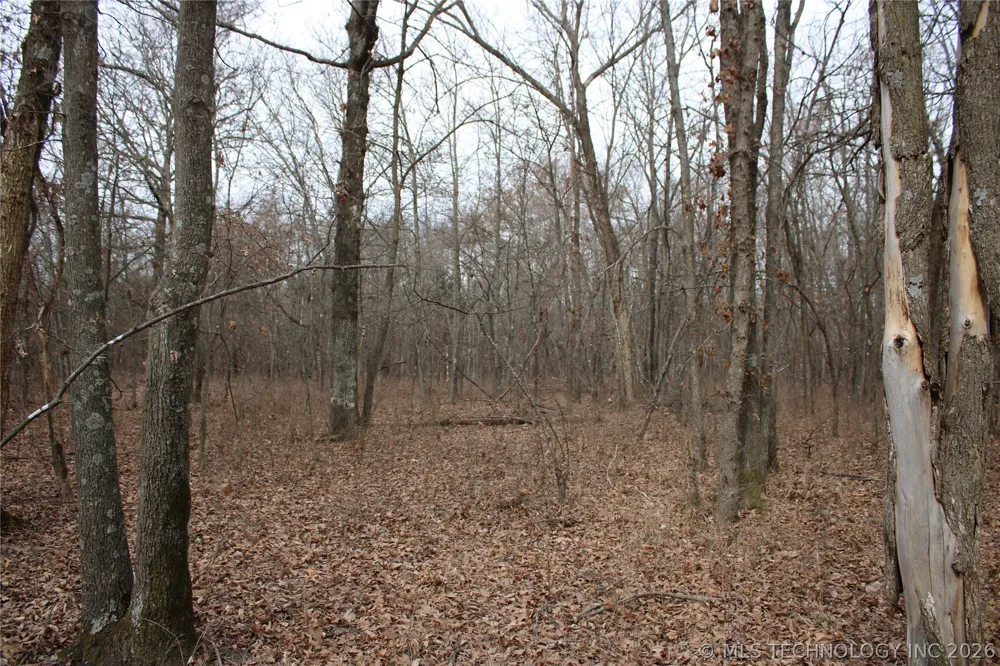 S 625 ROAD Miami, OK 74354