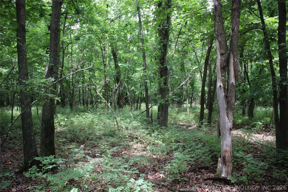 S 625 ROAD Miami, OK 74354