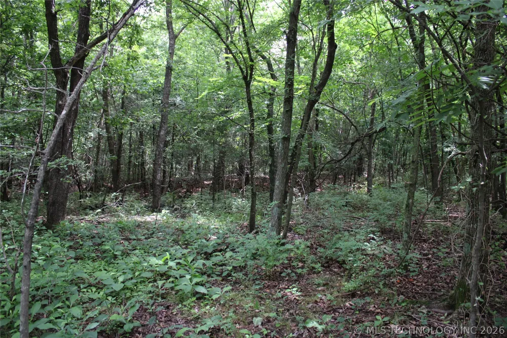 S 625 ROAD Miami, OK 74354