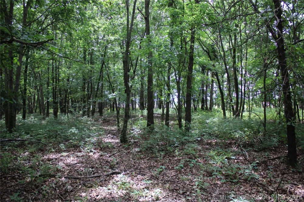 S 625 ROAD Miami, OK 74354