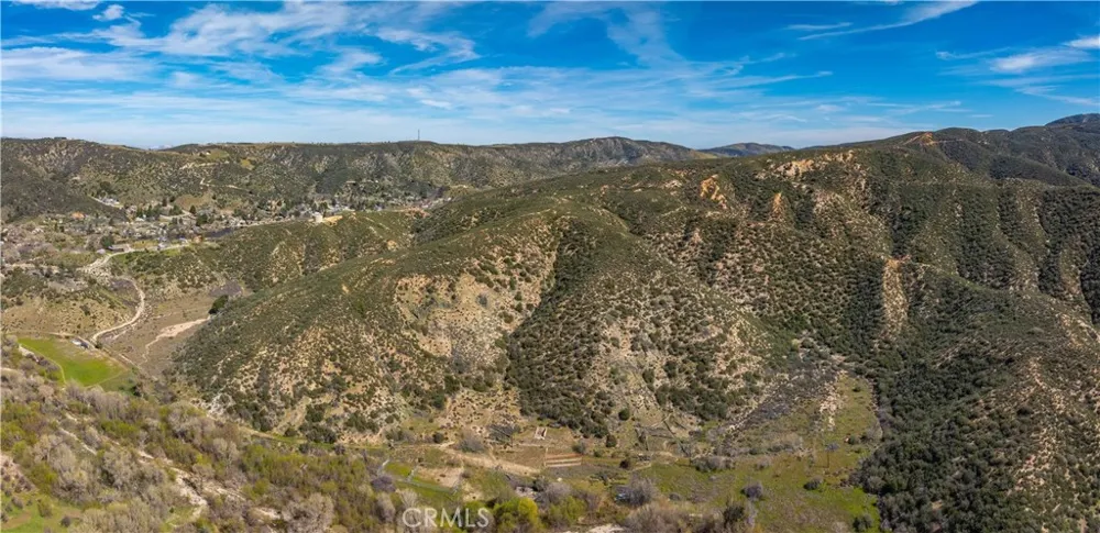 43460 Newview Drive Lake Hughes, CA 93532