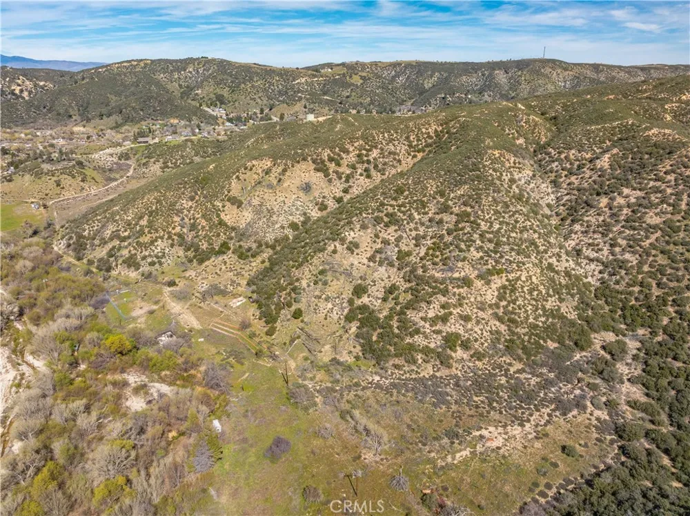 43460 Newview Drive Lake Hughes, CA 93532