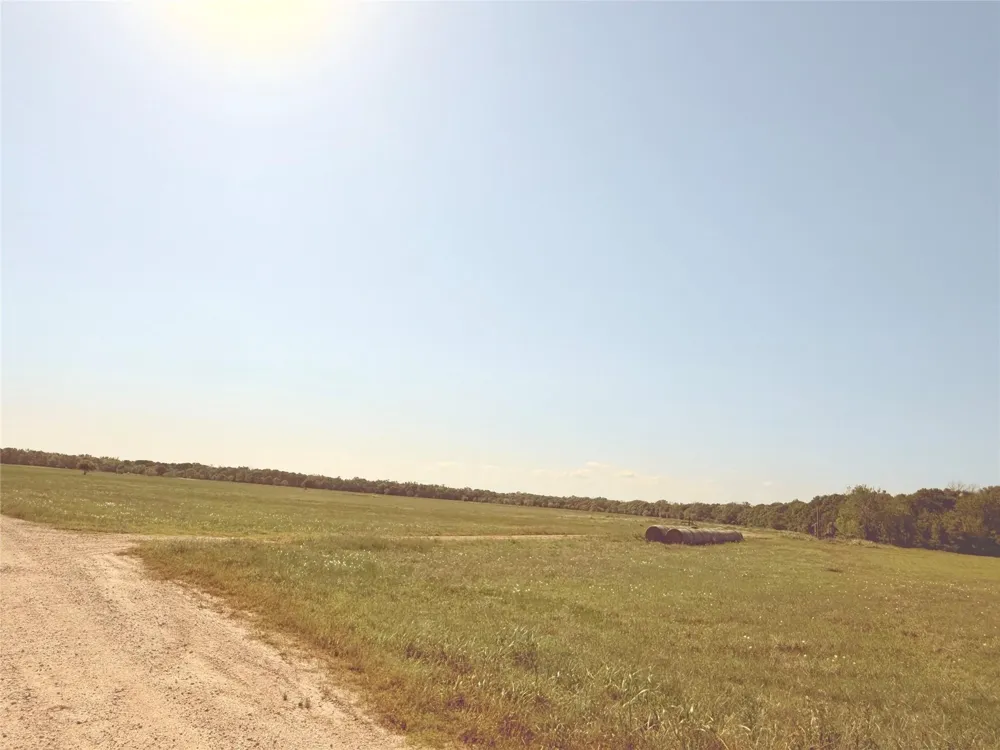 381 Cr-171 Danbury, TX 77534