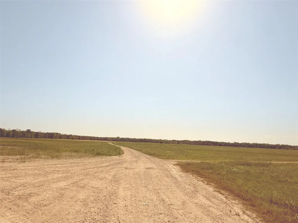 381 Cr-171 Danbury, TX 77534