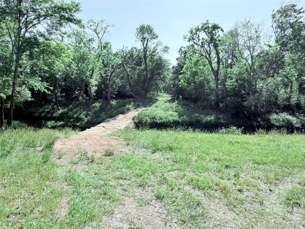 381 Cr-171 Danbury, TX 77534