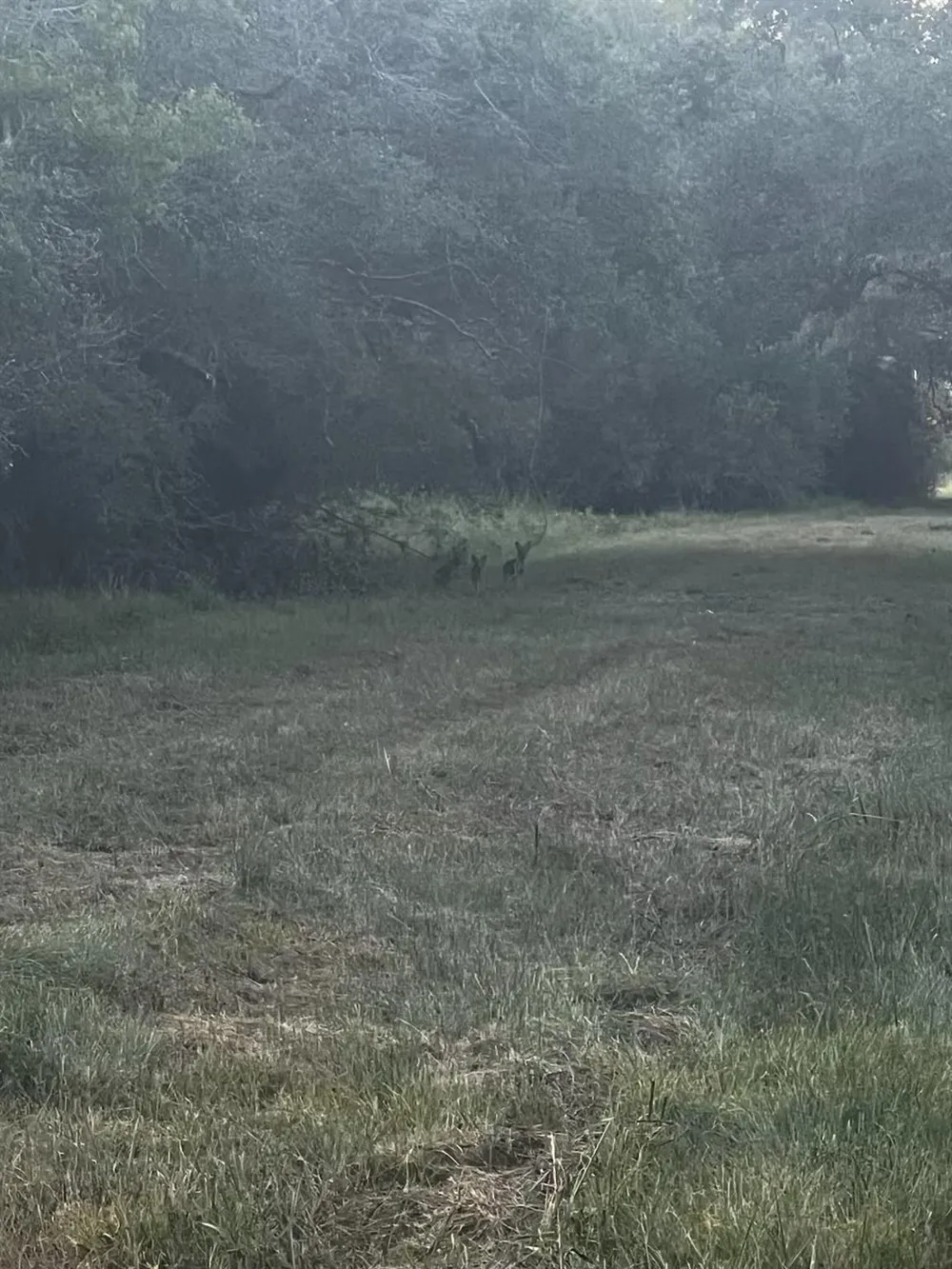 381 Cr-171 Danbury, TX 77534
