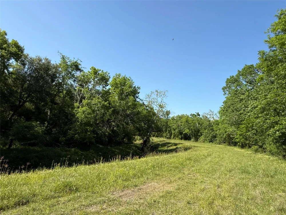 381 Cr-171 Danbury, TX 77534