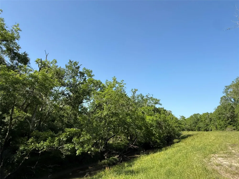 381 Cr-171 Danbury, TX 77534