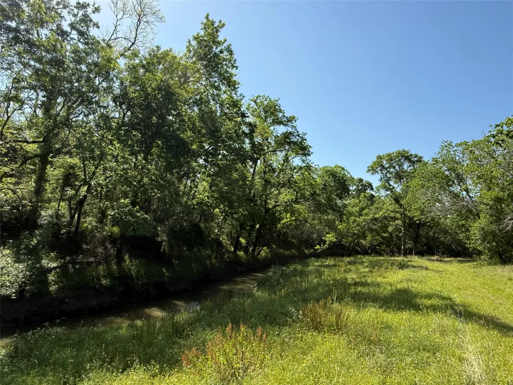 381 Cr-171 Danbury, TX 77534
