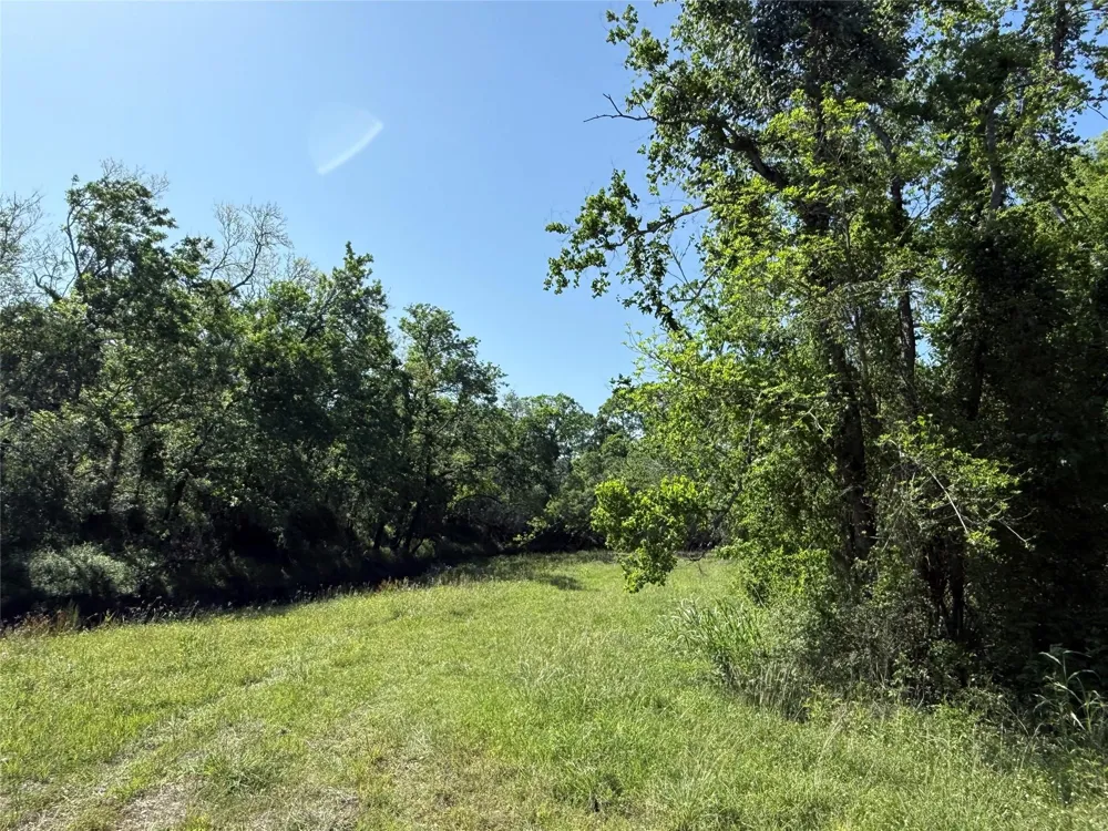 381 Cr-171 Danbury, TX 77534