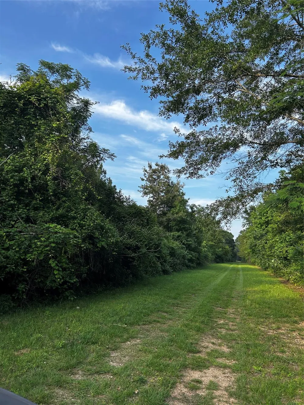 County Line Road Shepherd, TX 77371