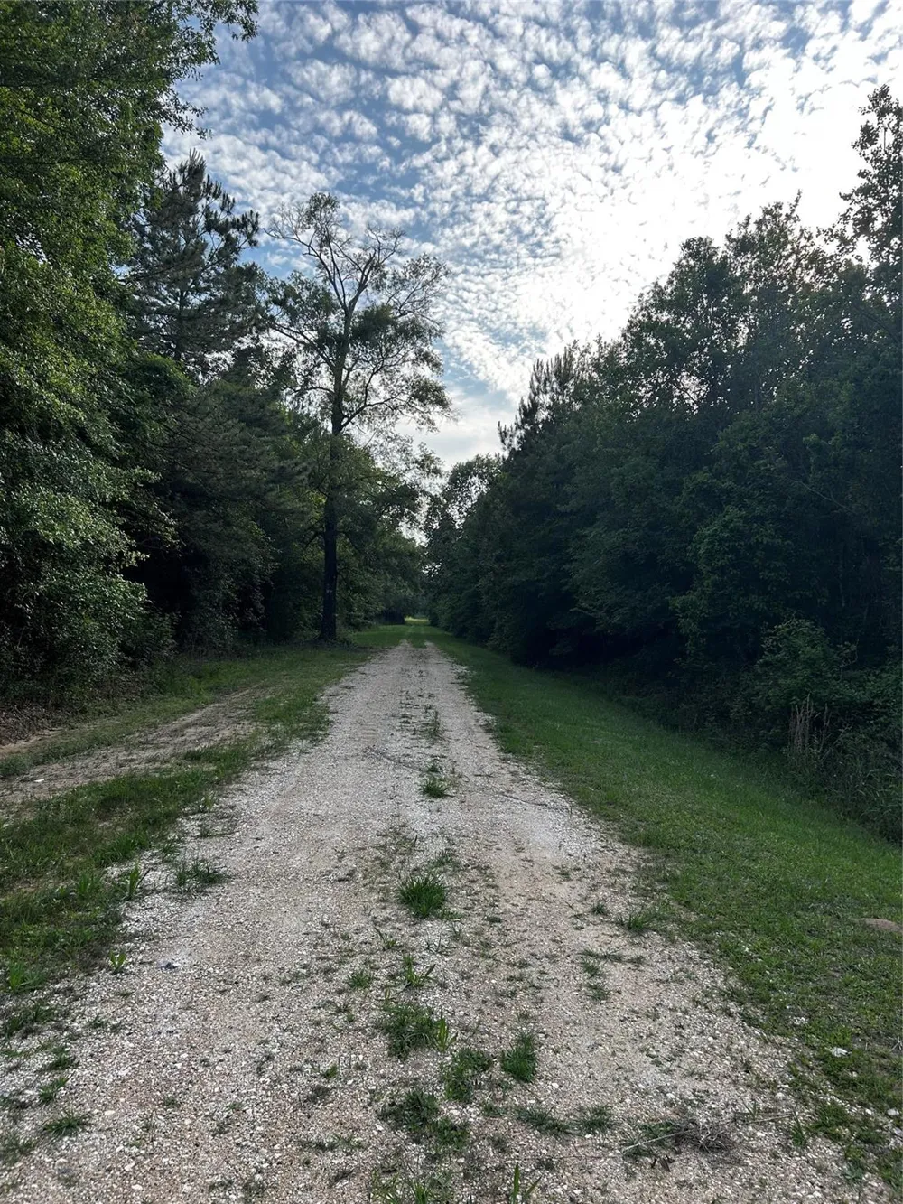County Line Road Shepherd, TX 77371