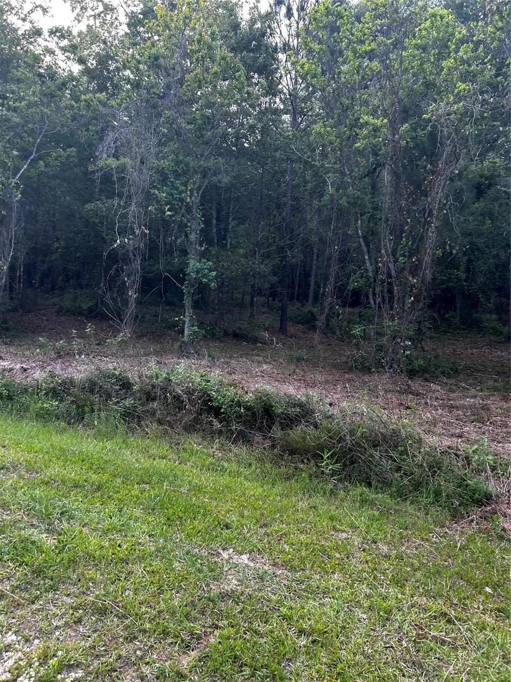 County Line Road Shepherd, TX 77371