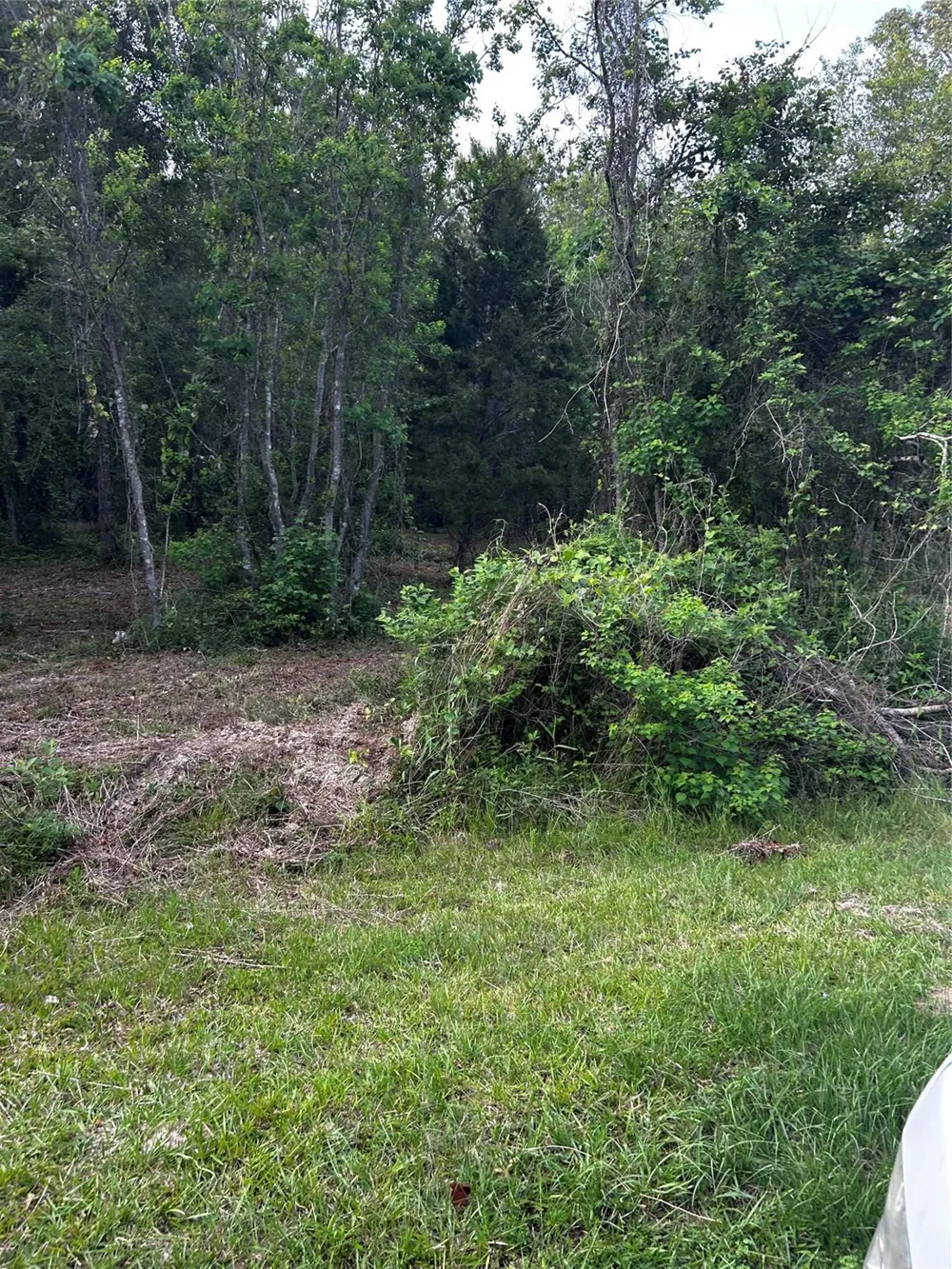 County Line Road Shepherd, TX 77371