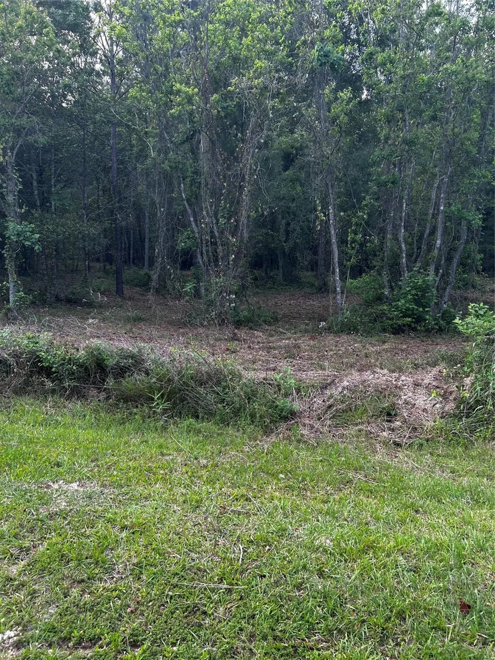 County Line Road Shepherd, TX 77371