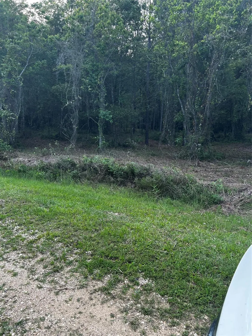 County Line Road Shepherd, TX 77371