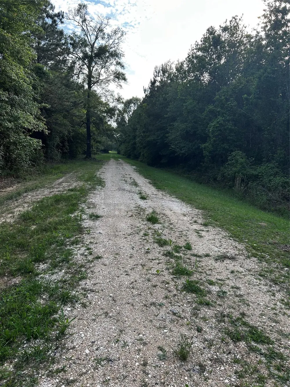 County Line Road Shepherd, TX 77371