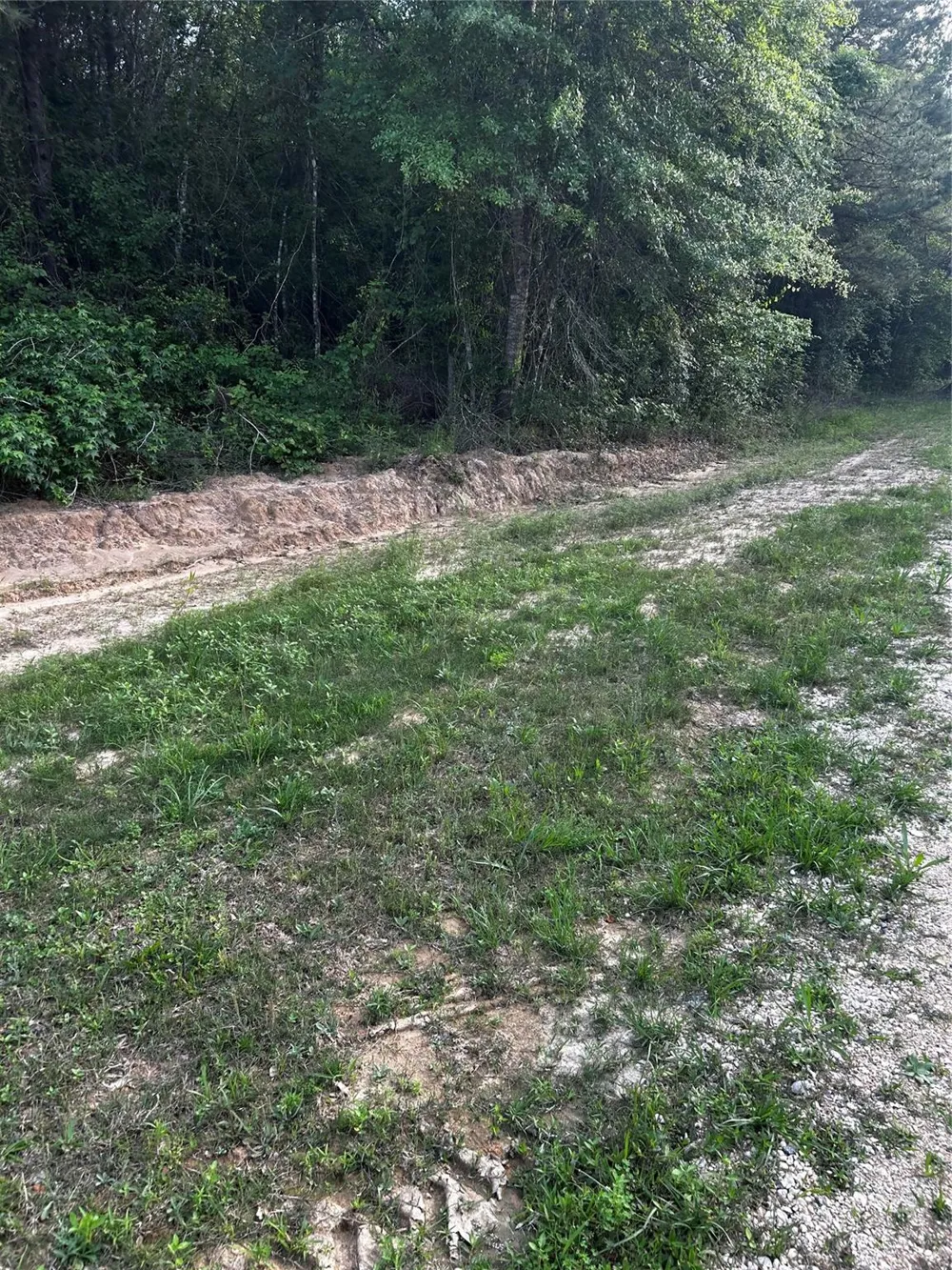County Line Road Shepherd, TX 77371