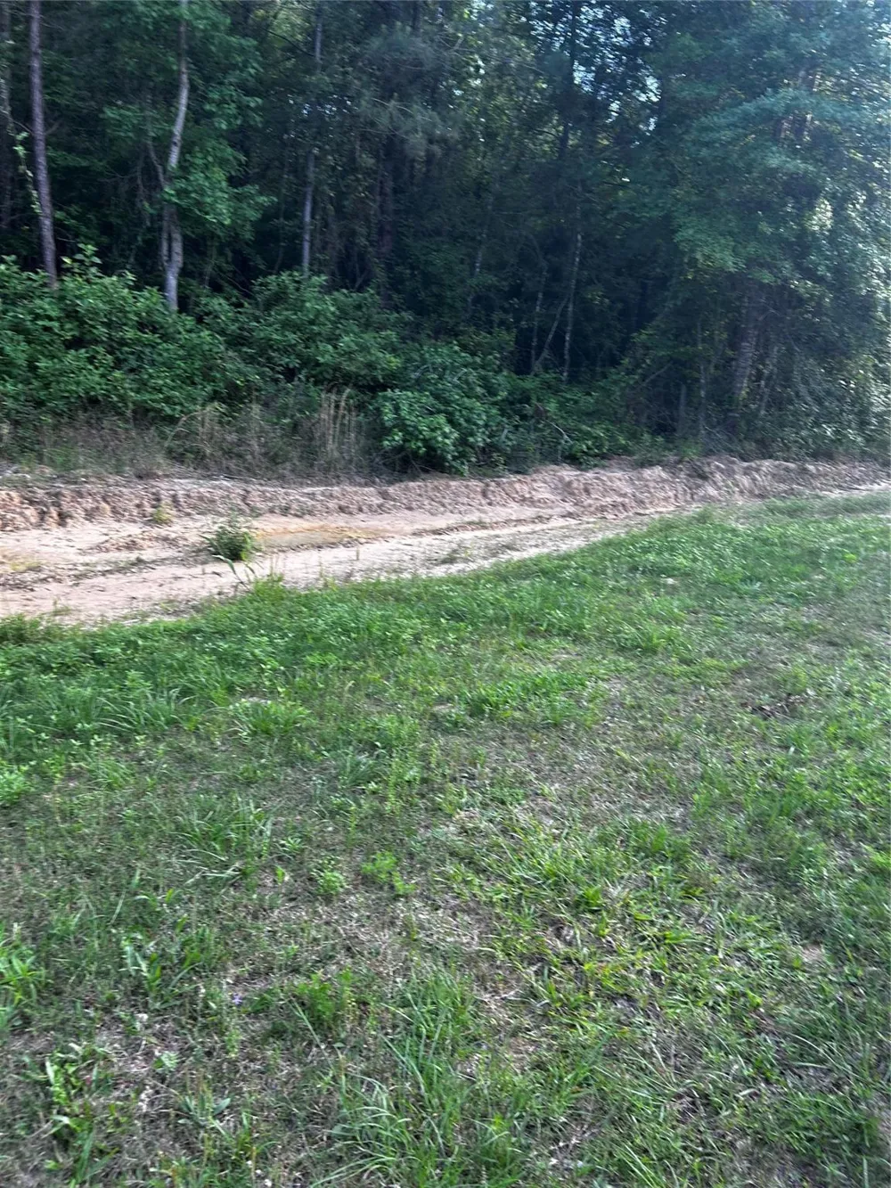County Line Road Shepherd, TX 77371