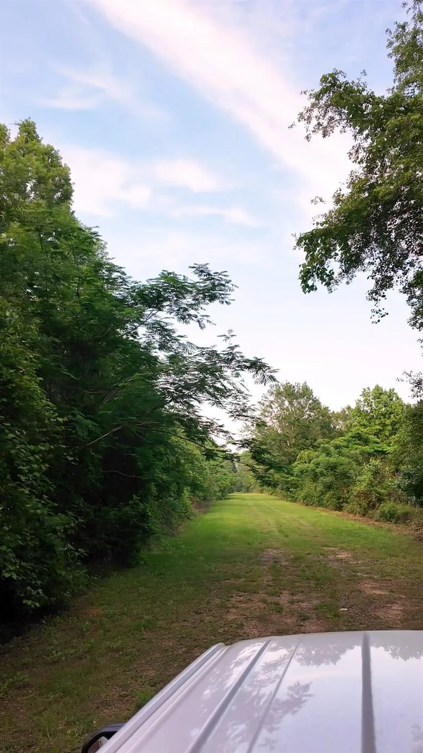 County Line Road Shepherd, TX 77371