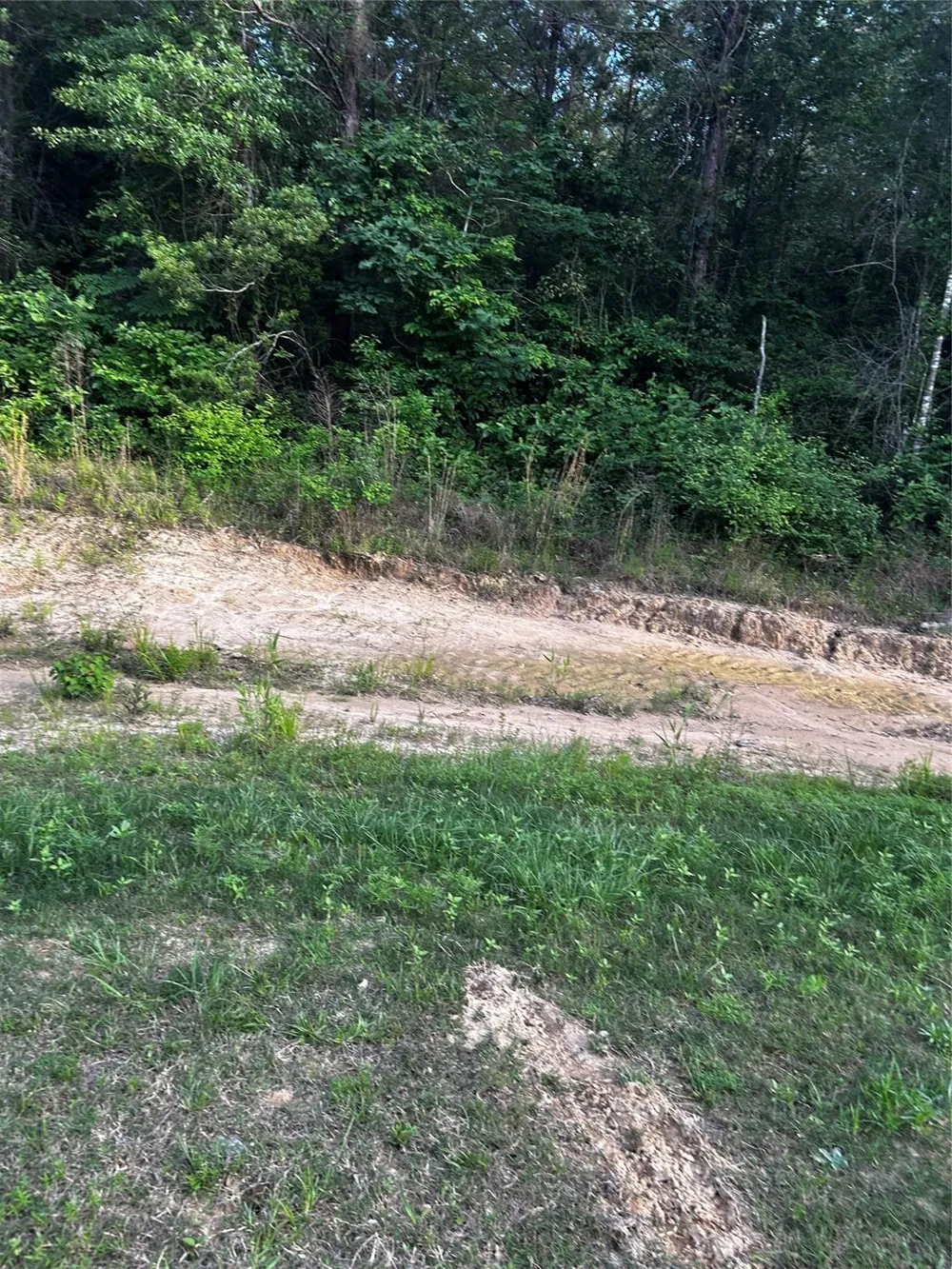 County Line Road Shepherd, TX 77371