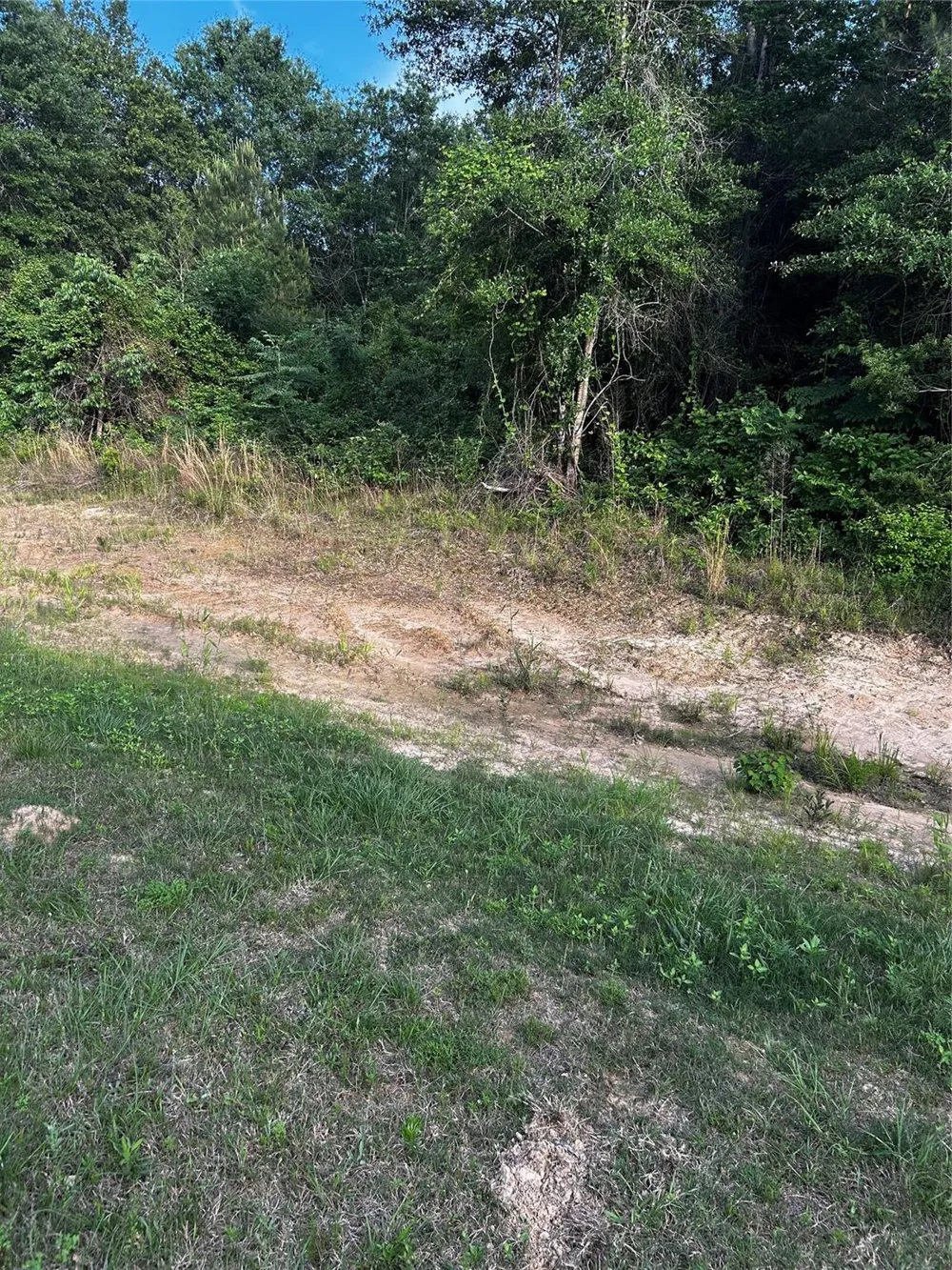 County Line Road Shepherd, TX 77371
