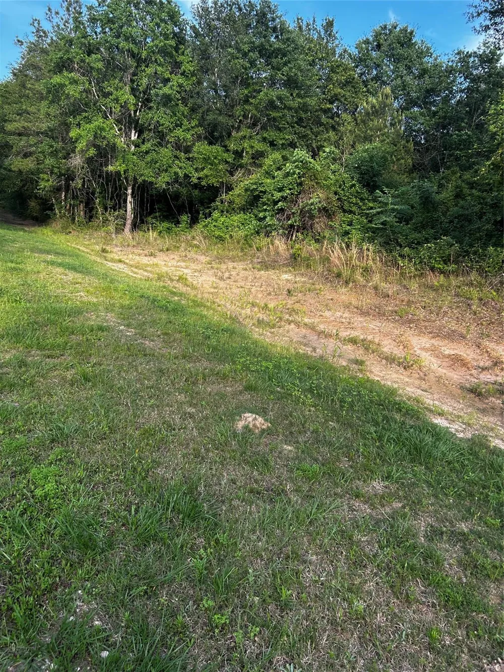 County Line Road Shepherd, TX 77371