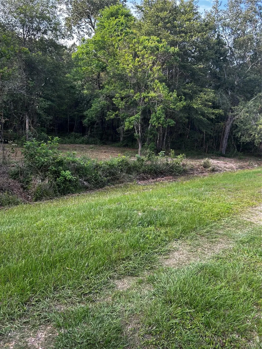 County Line Road Shepherd, TX 77371