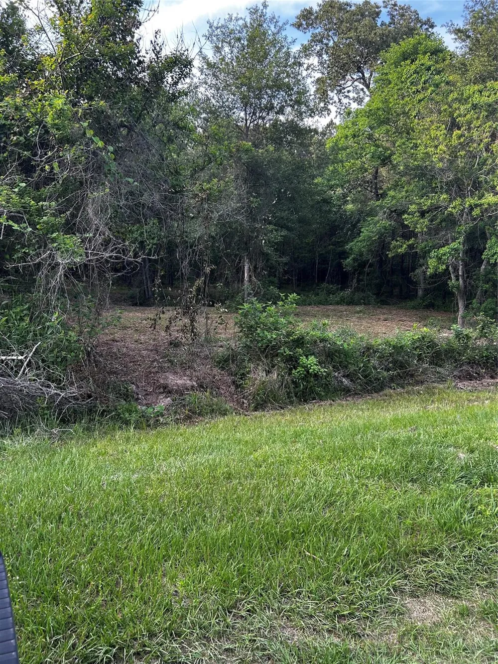 County Line Road Shepherd, TX 77371