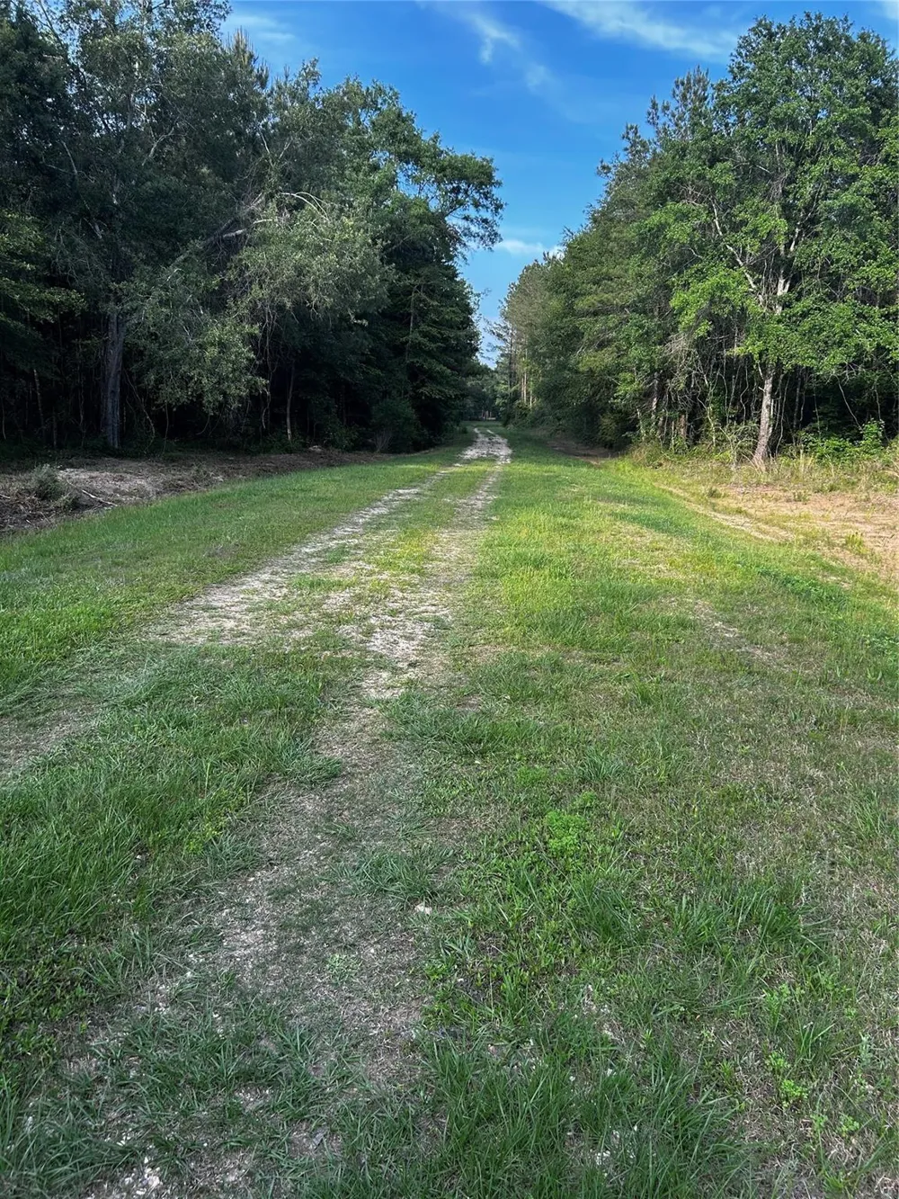 County Line Road Shepherd, TX 77371