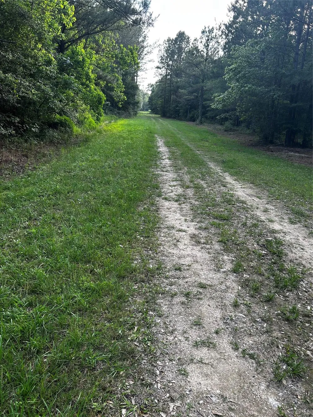 County Line Road Shepherd, TX 77371