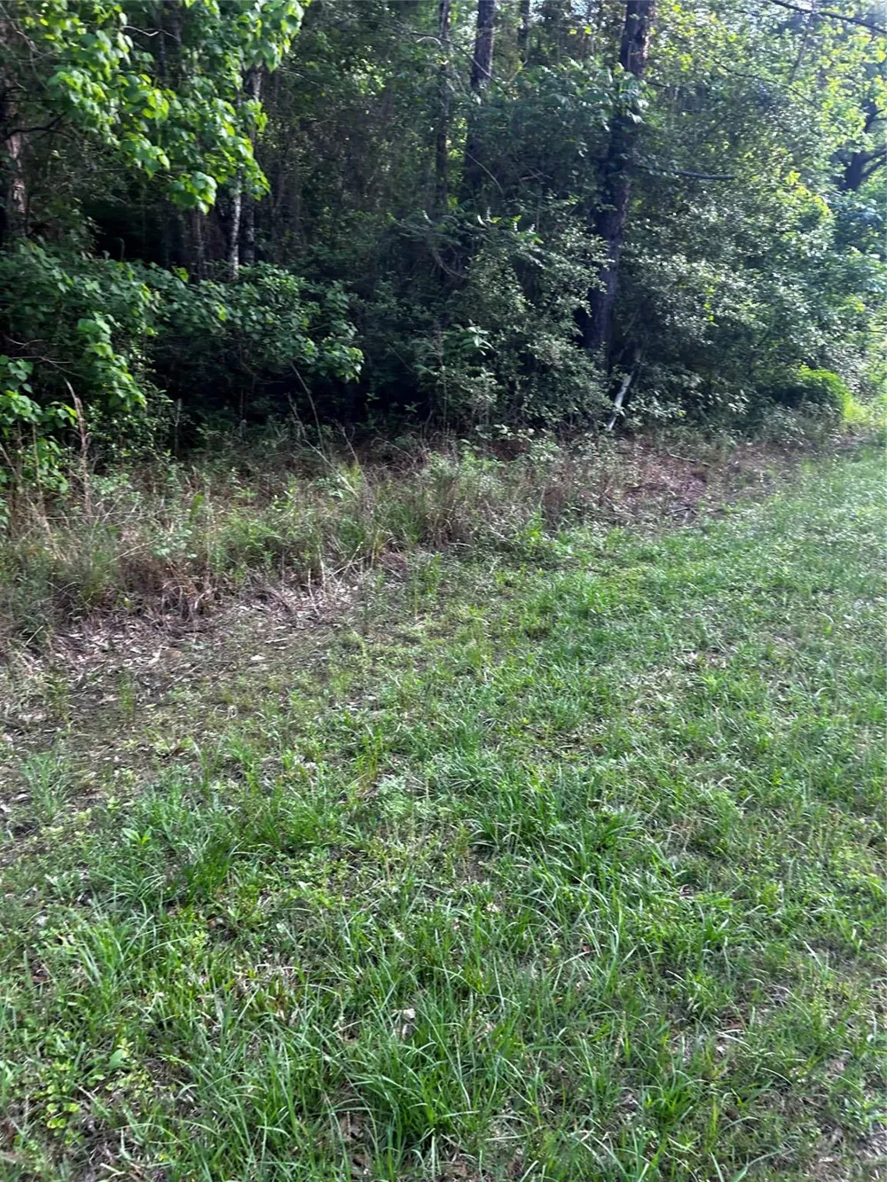 County Line Road Shepherd, TX 77371