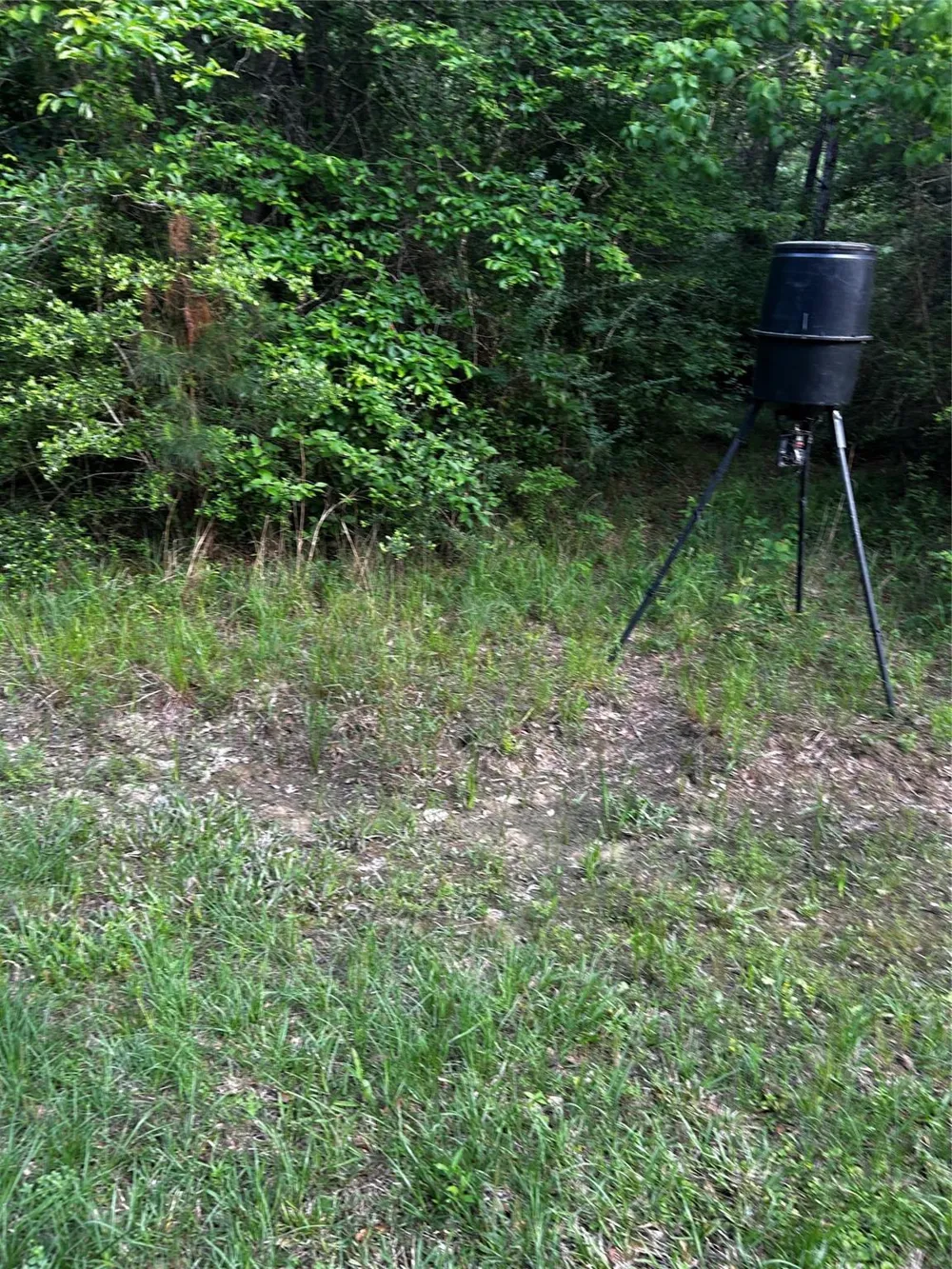 County Line Road Shepherd, TX 77371