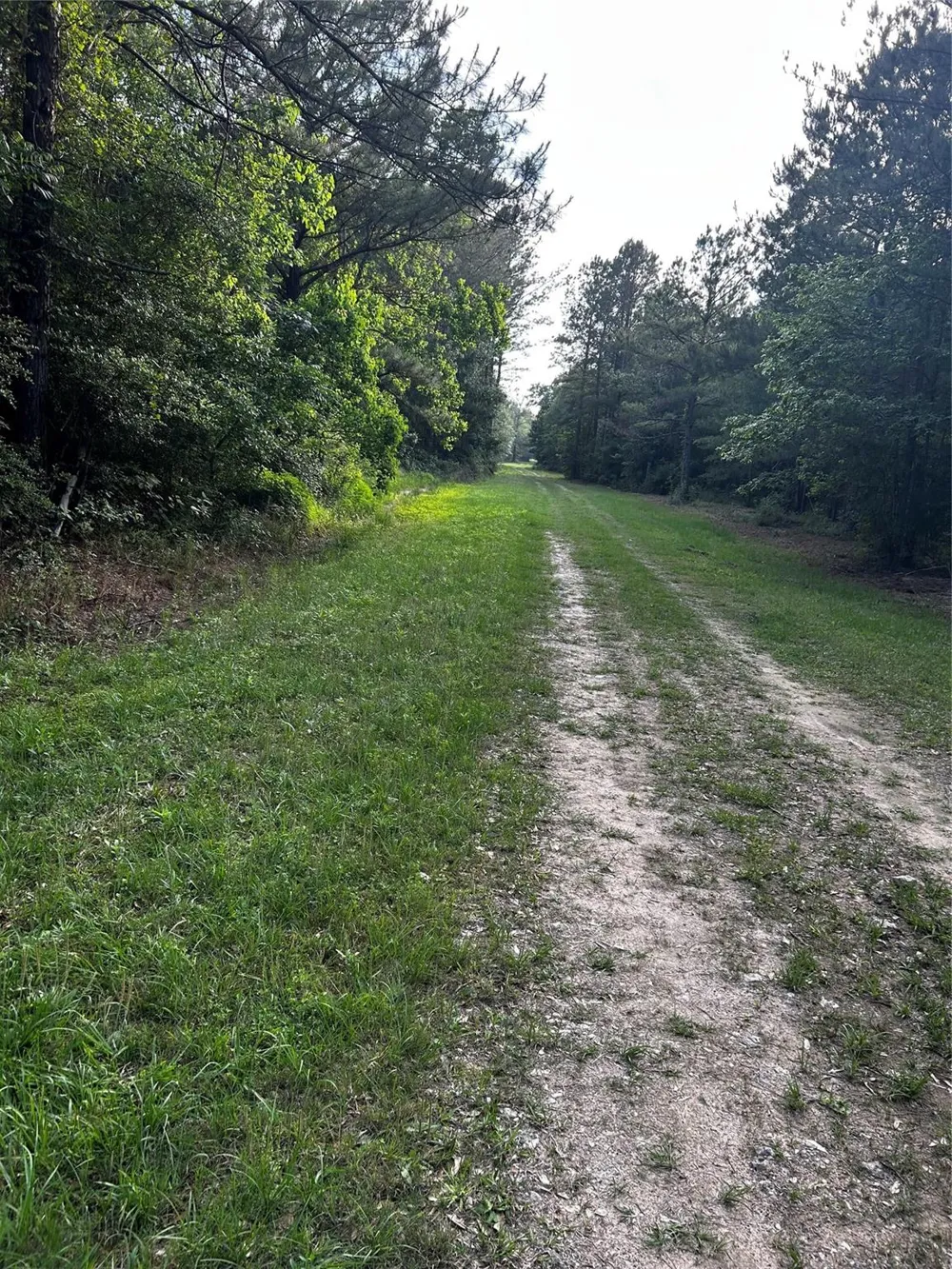 County Line Road Shepherd, TX 77371