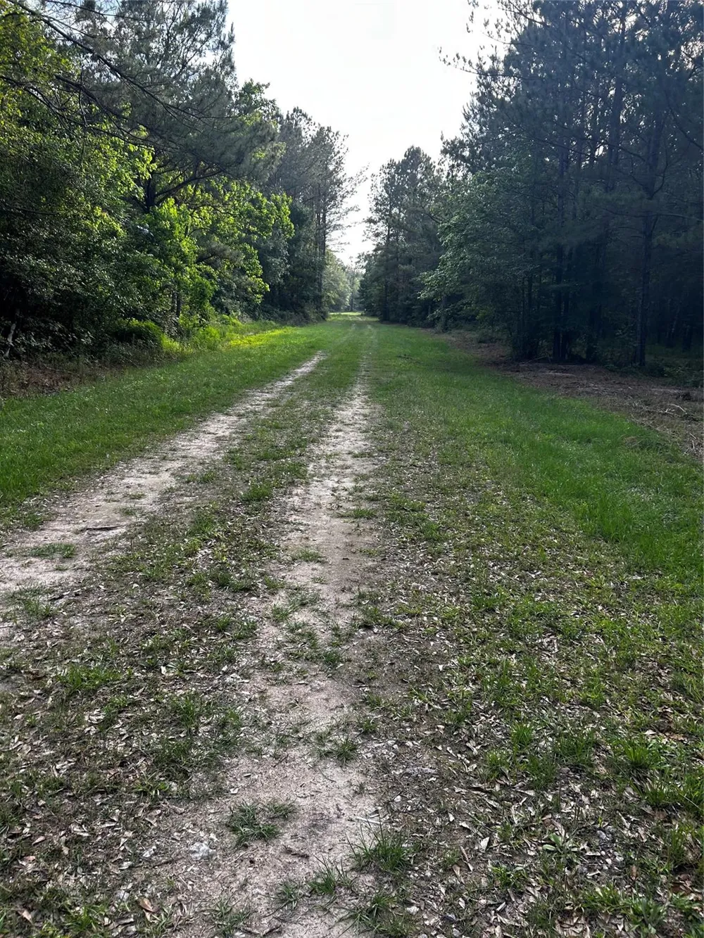 County Line Road Shepherd, TX 77371