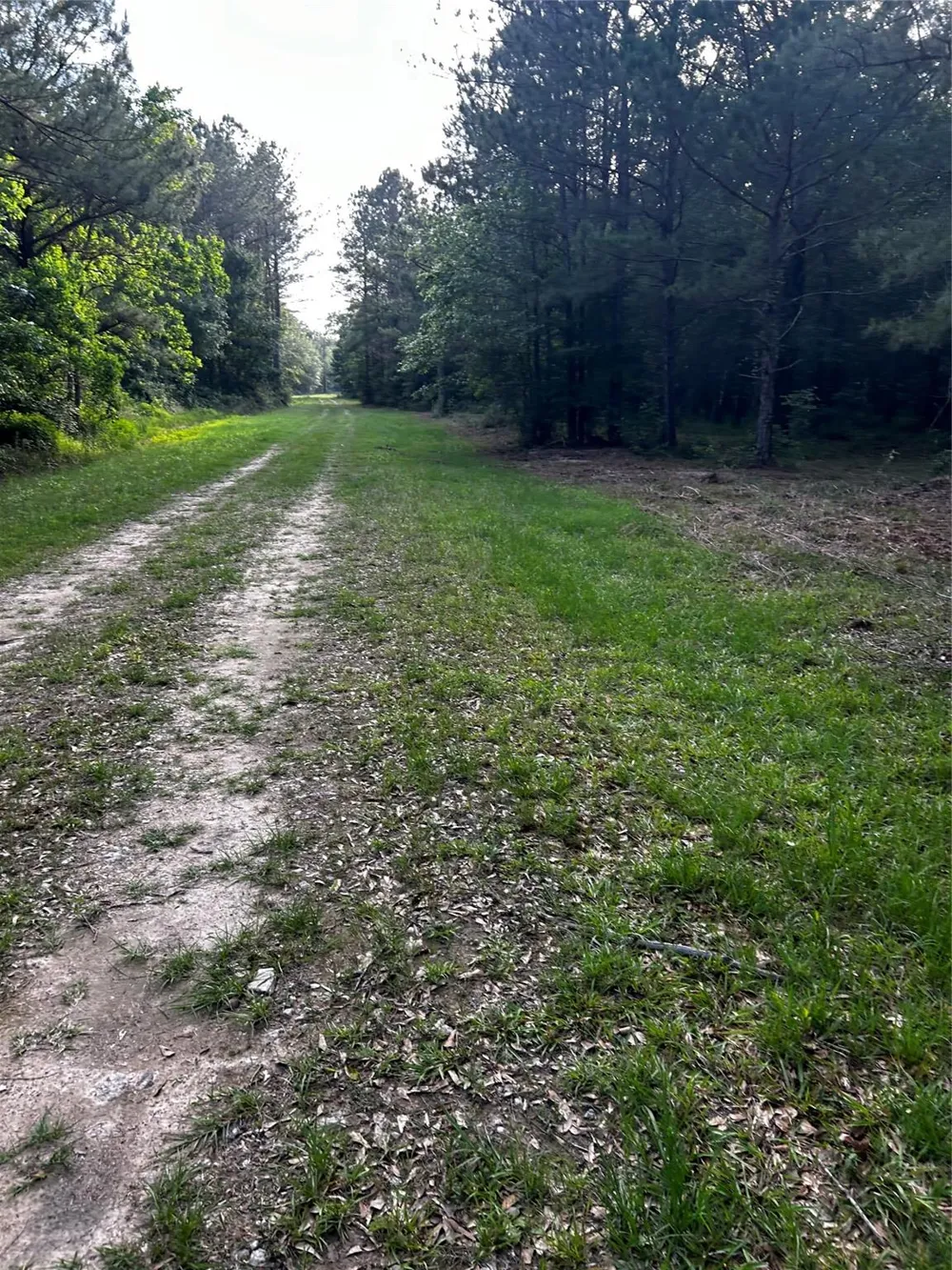 County Line Road Shepherd, TX 77371