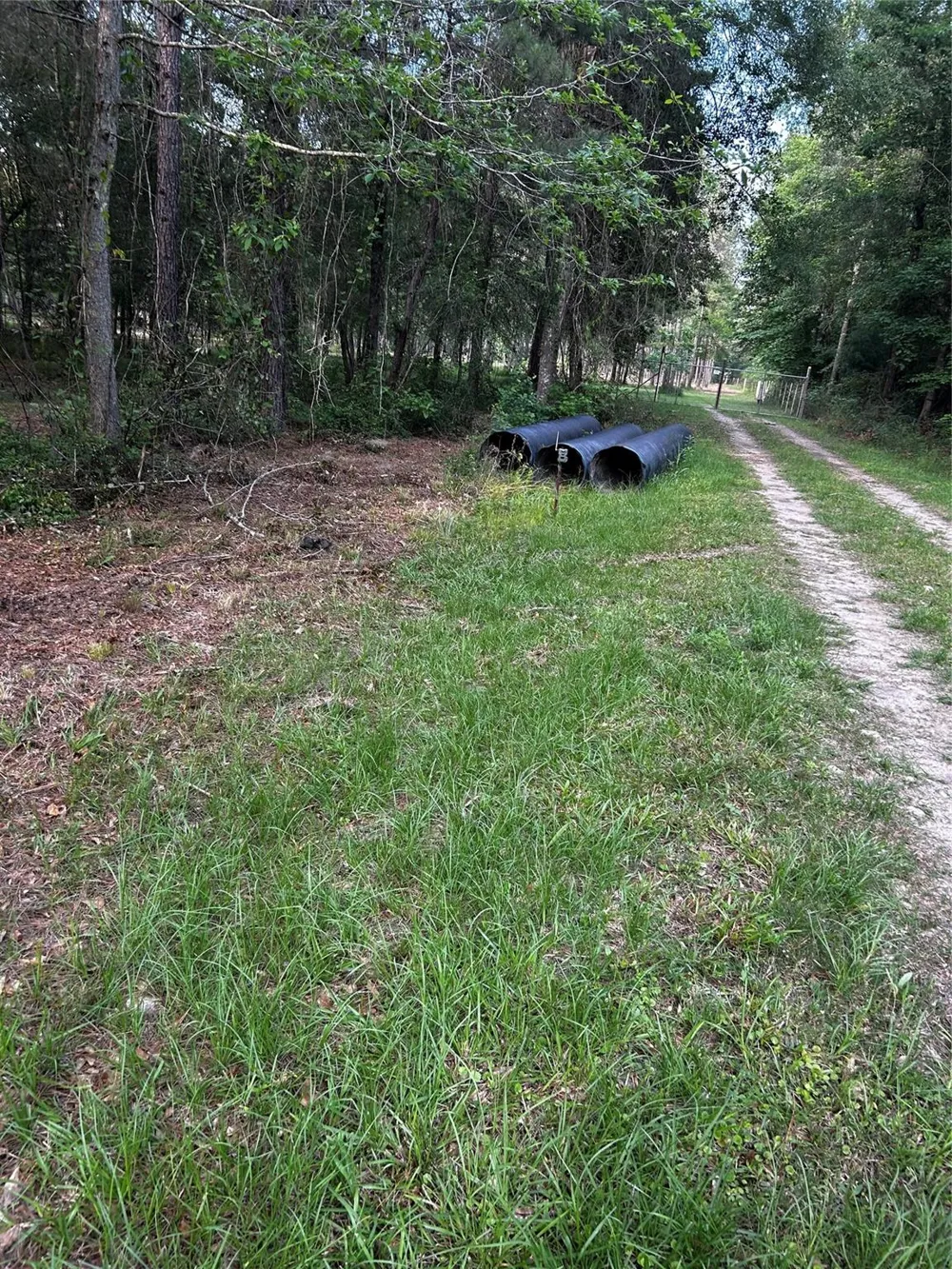 County Line Road Shepherd, TX 77371