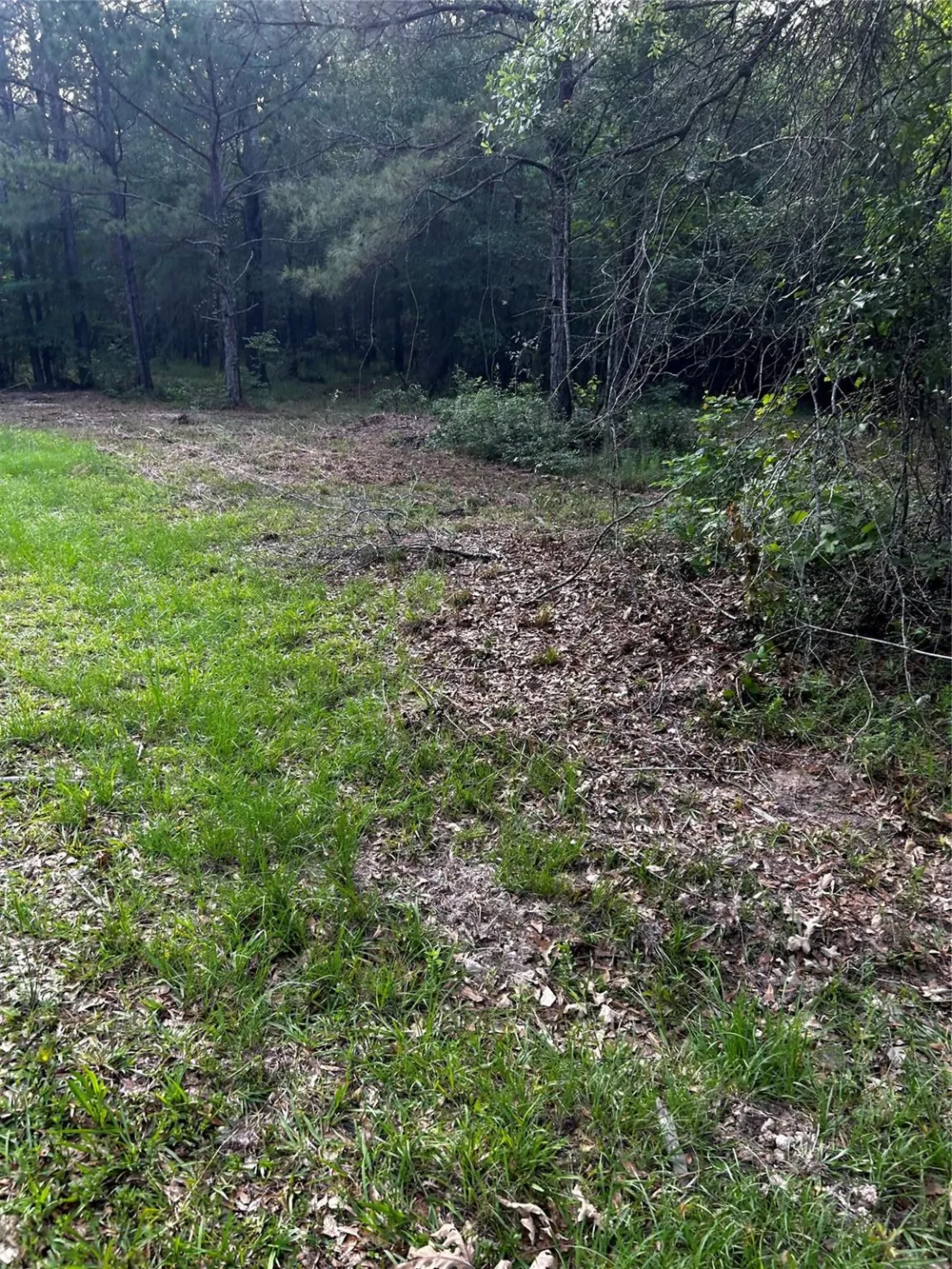 County Line Road Shepherd, TX 77371