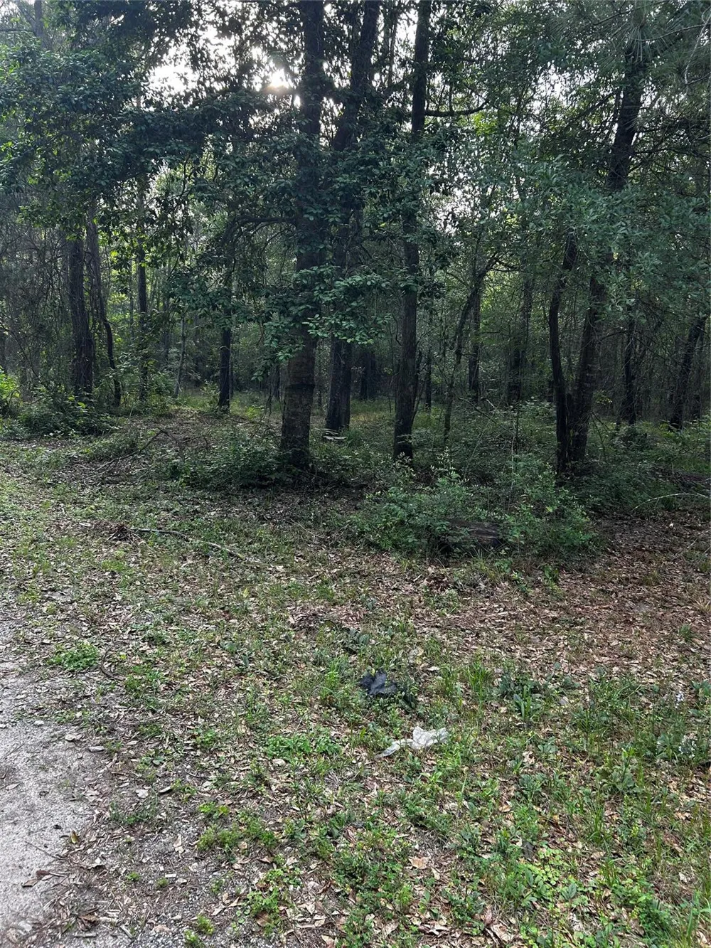 County Line Road Shepherd, TX 77371
